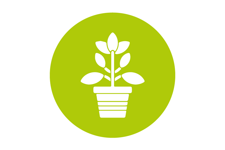 Huerta comunitaria